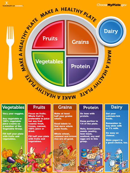     Guide Pyramid Has Been Replaced With The New Food Icon   Myplate