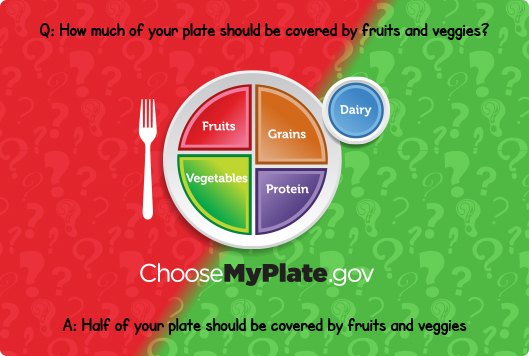     Myplate Quiz 1 Jpg Clipart   Free Nutrition And Healthy Food Clipart