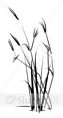 Summer Grass Sketch   Leaf Borders