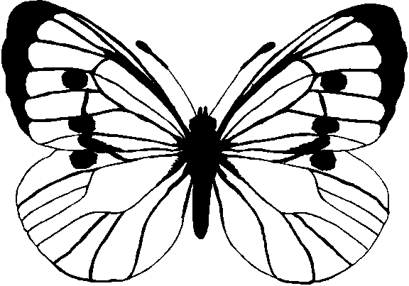 15 Simple Butterfly Coloring Pages   Free Cliparts That You Can