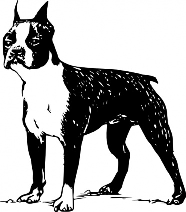 Accueil   Clip Arts   Boston Terrier Clipart