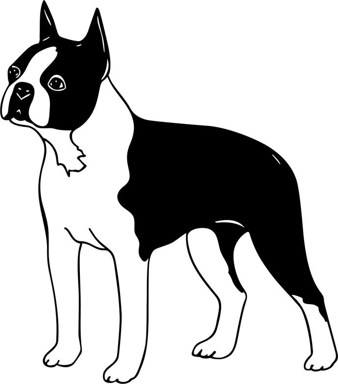 Boston Terrier Clip Art   Cliparts Co