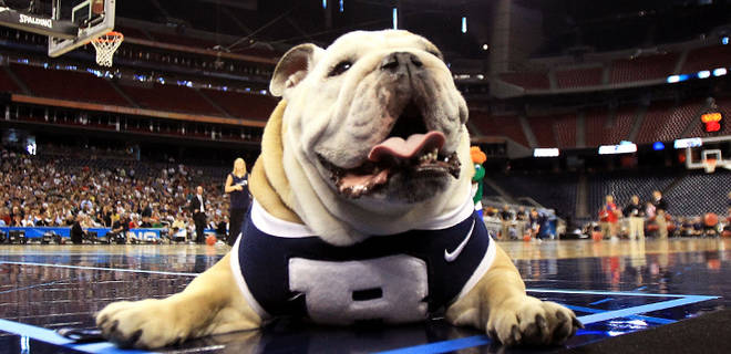 Butler Bulldog Blue Ii Has Passed Away   College Basketball News