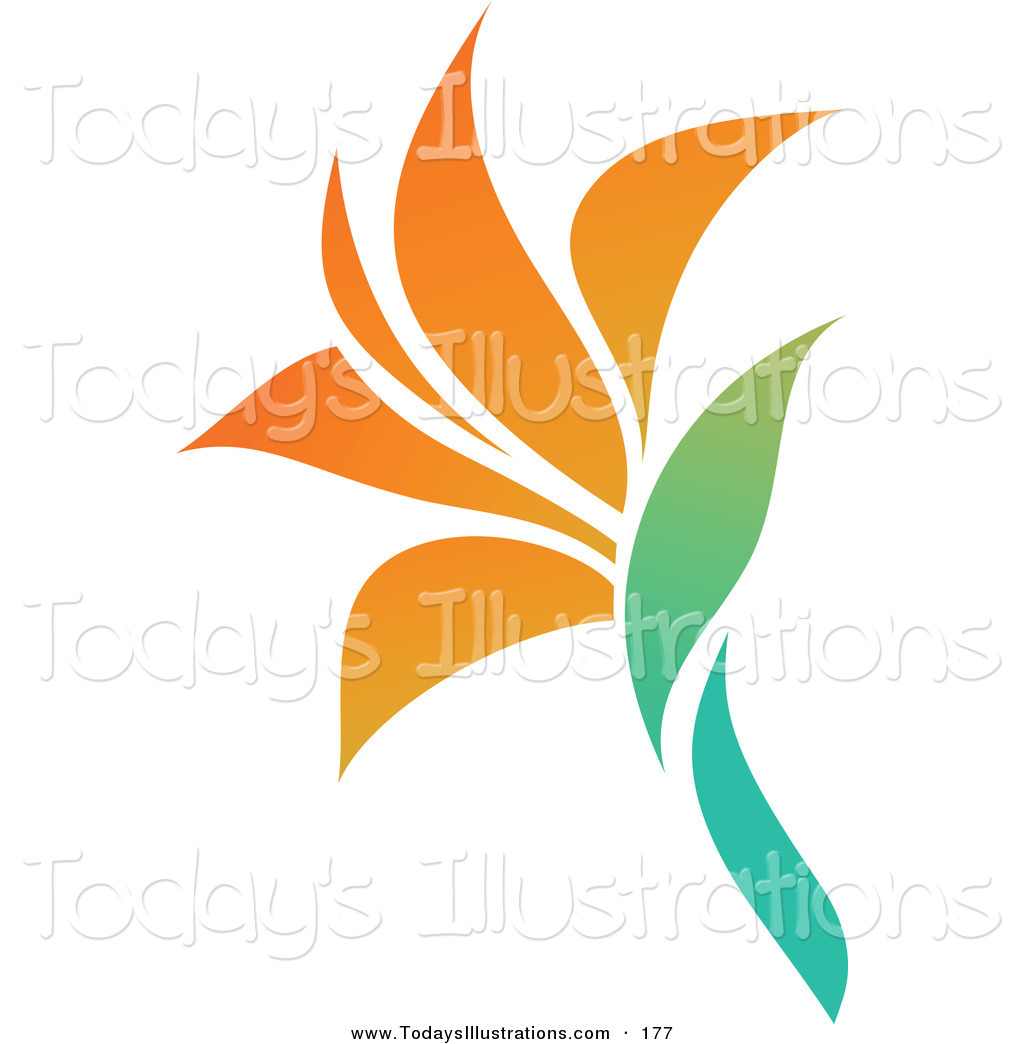 Flower Blooming Clipart Clipart Of A Blooming Orange
