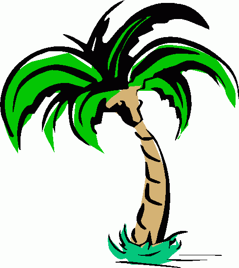 Hawaiian Palm Tree Clip Art   Clipart Panda   Free Clipart Images