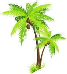 Palmetto Palms For Toni
