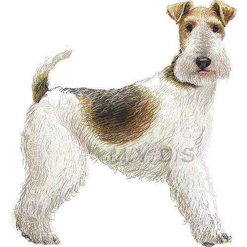 Wire Fox Terrier Clipart Graphics  Free Clip Art