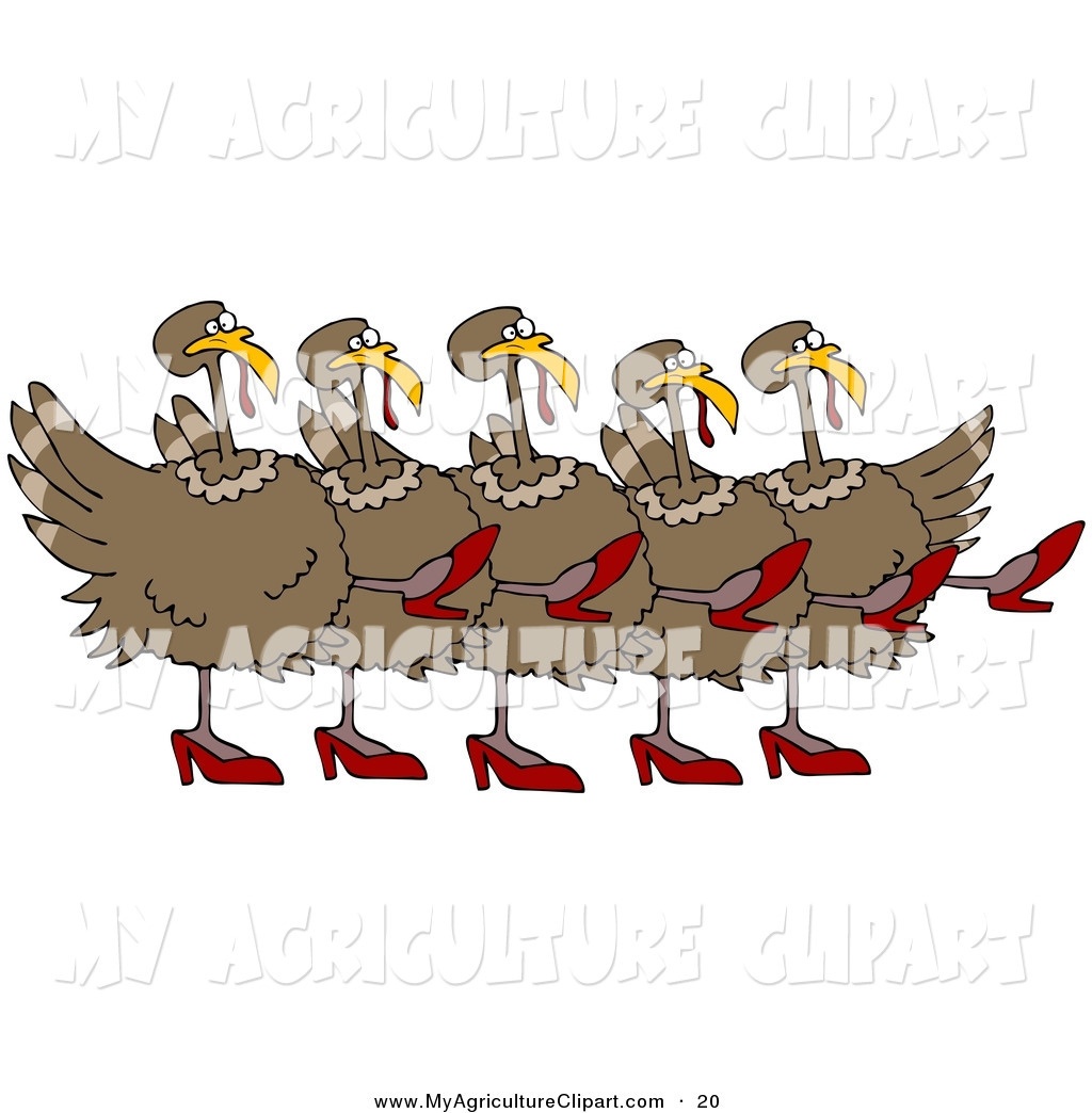 Agriculture Clipart Of A Line Of Five Brown Turkey Birds In High