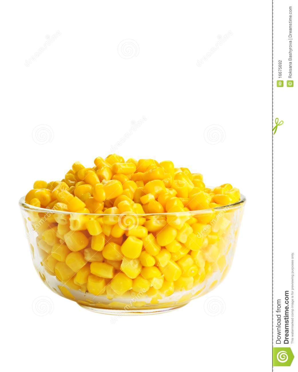 Canned Corn Stock Photography   Image  16675692