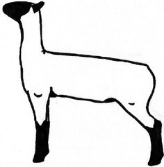 Club Show Lambs Clipart   Raising Sheep  Picking A Show Lamb Part 1