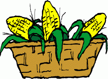 Corn Clip Art Free   Cliparts Co