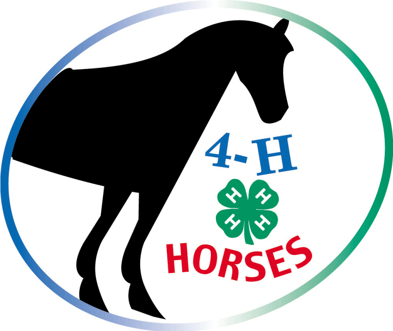 Horse Project Documents