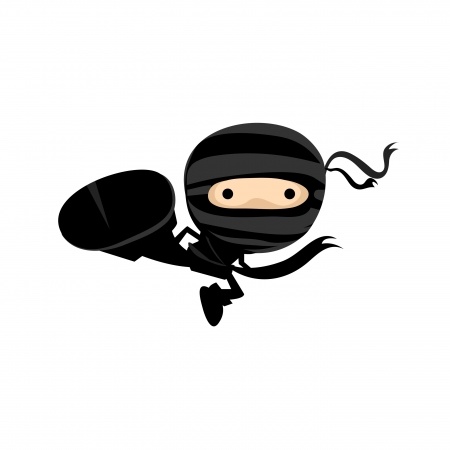 Ninja Secrets To Make An Effective Animated Demo   Officevp Blog