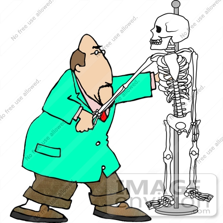 Chiropractor Doctor Man With A Human Skeleton Model Clipart By Djart