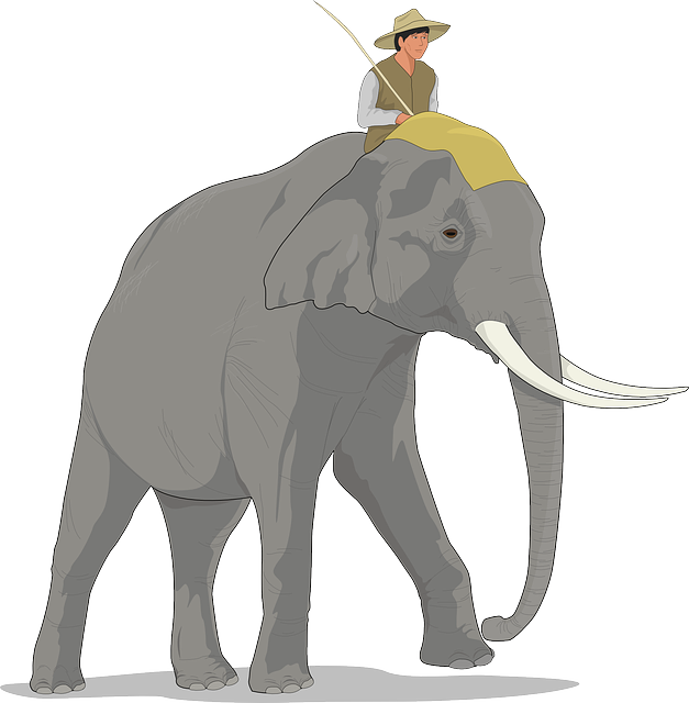 Elephant9