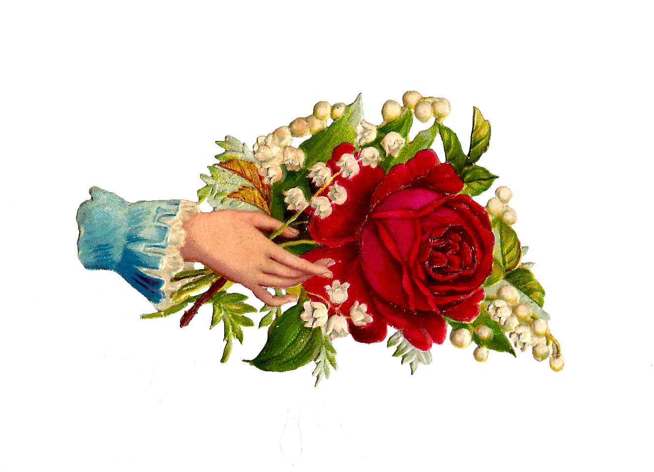 Free Rose Clip Art  Antique Red Rose And Lily Of The Valley Graphic