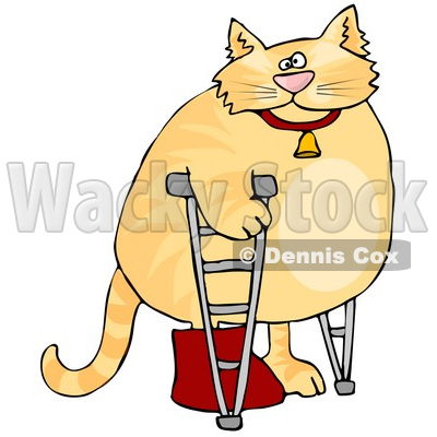 In A Hospital One Leg In A Cast Clipart Picture   Dennis Cox  6325