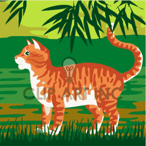 Orange Tabby Cat Outside Standing In Green Grass