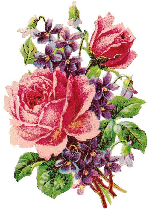 Pretty Rose And Violets Clip Art   Vintage Arts   Pinterest