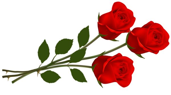 Red Roses Png Clipart   Soledad Y Sus Rosas    Pinterest   Red Roses