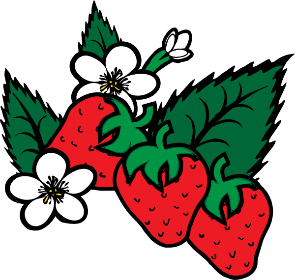 Strawberries Clip Art At Clker Com   Vector Clip Art Online Royalty