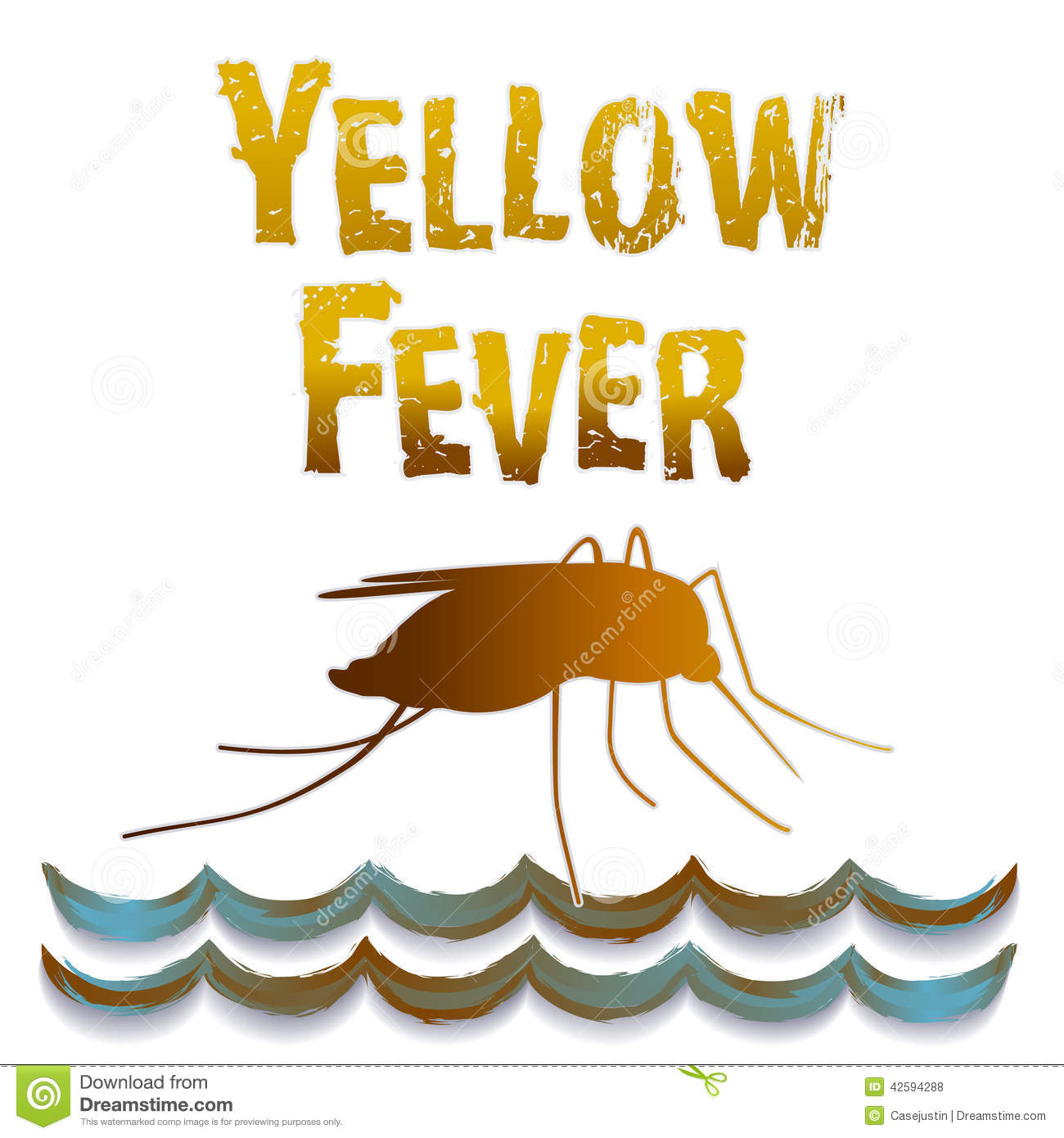 Yellow Fever Mosquito Standing Water Graphic Illustration Isolated