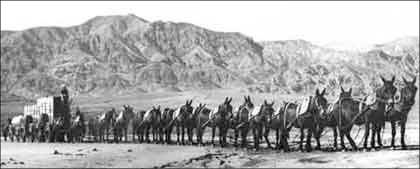 20 Mule Team Death Valley   Http   Www Wpclipart Com American History