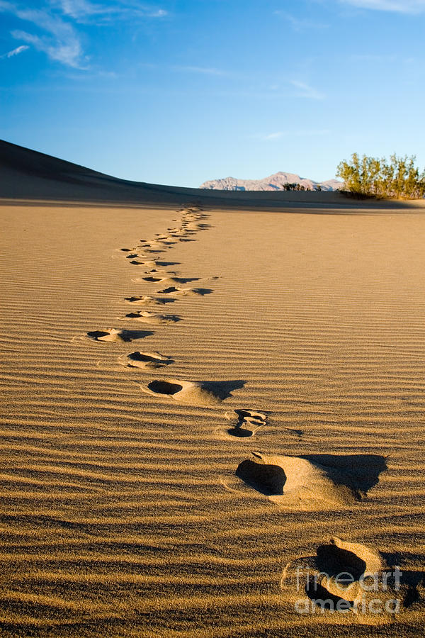 Death Valley California Sand Dunes Footprints Photograph