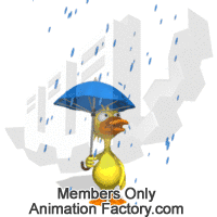 Duck Holding Umbrella In Rain Animated Clipart