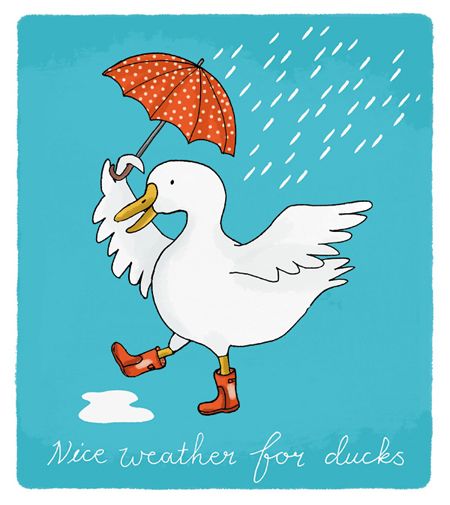 Duck In Rain Clipart Clip Art Pictures