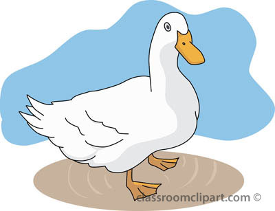 Duck In Rain Clipart Clip Art Pictures To Pin On Pinterest