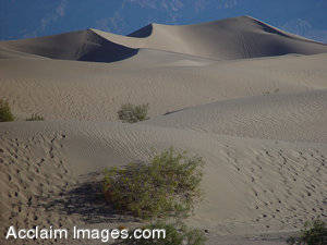Pictures Of Sand Dunes   Death Valley California