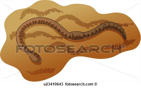 Wild Animal Earthworm Soil Annelida Round Worm Icon Animal View