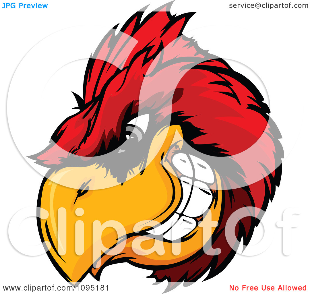 Clipart Aggressive Cardinal Mascot Head   Royalty Free Vector