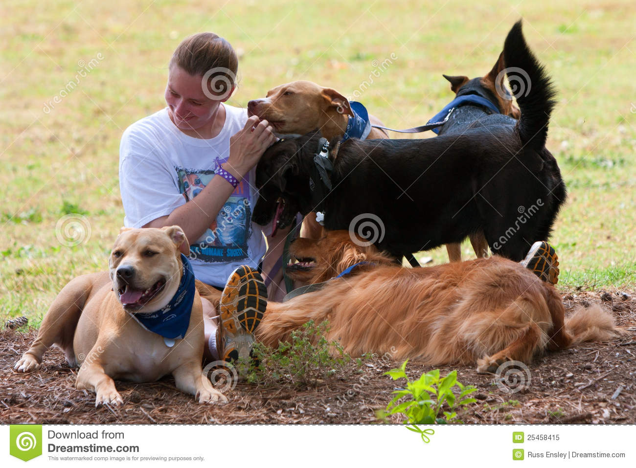 Female Dog Owners Rests In Shade With Her Dogs Editorial Image   Image    