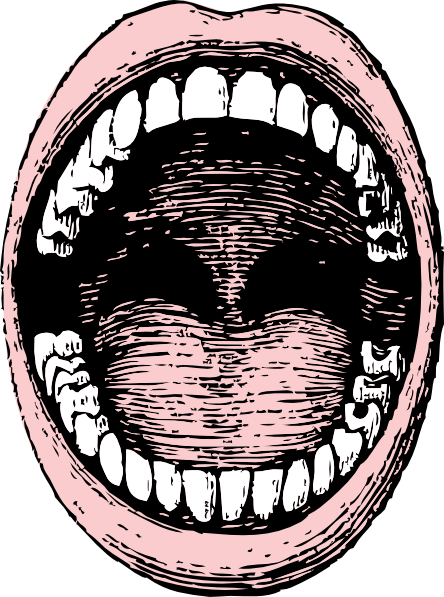 Open Mouth Clip Art At Clker Com   Vector Clip Art Online Royalty