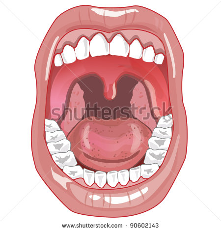 Tonsil Mouth Open With Teeth Showing Tongue Stock Vector Illustration