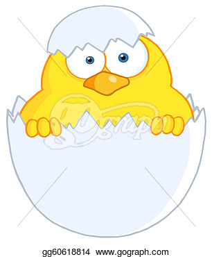 Clipart   Yellow Easter Chick In A Shell  Stock Illustration