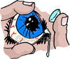 Contact Lenses Surgical Contact Lenses Animal Research Contact   Apps    