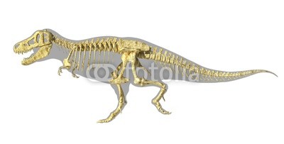 Dinosaur Bone Clipart
