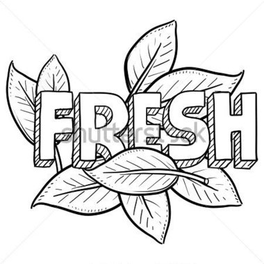 Doodle Style Fresh Food Or Agriculture Illustration In Vector Includes