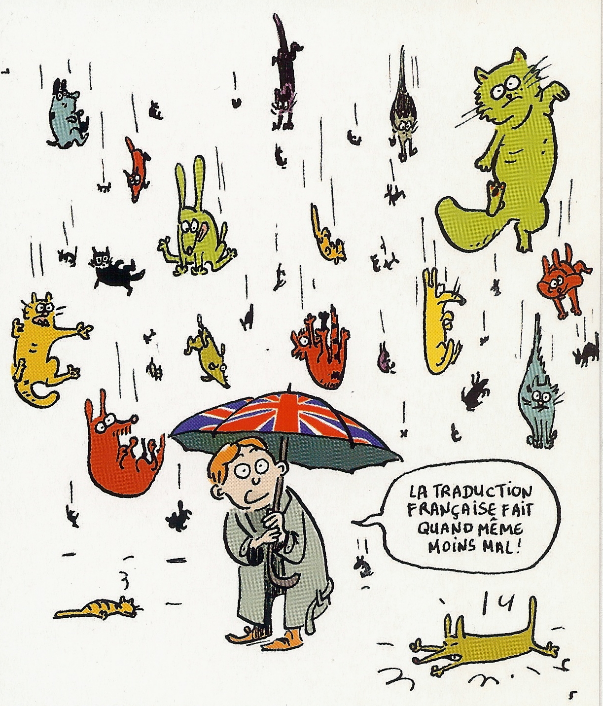It S Raining Cats And Dogs 