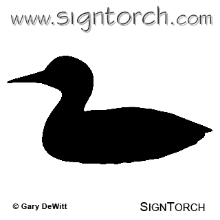Loon   Clipart Best