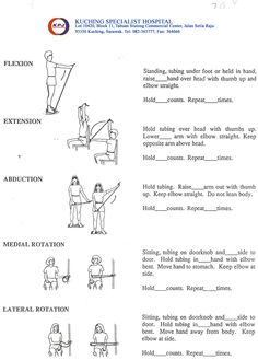 Occupational Therapy  Phys Dys And Adaptations On Pinterest   Rotator    