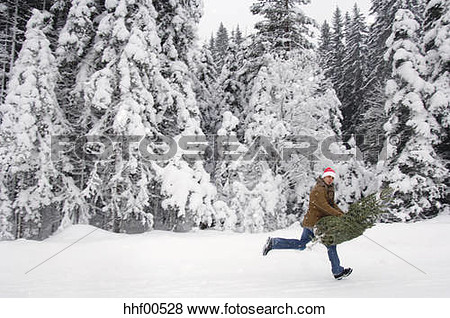 Picture   Man Running In Snow Carrying Christmas Tree  Fotosearch