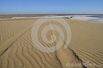 Tracks On A Sand Dune Near The Salt Fields From Walvisbay 