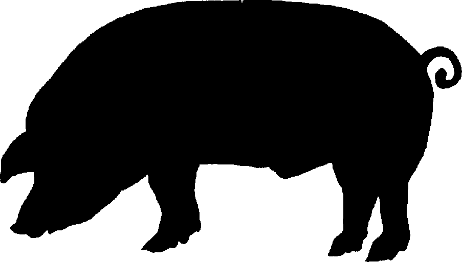 22 Pig Silhouette Free Cliparts That You Can Download To You Computer