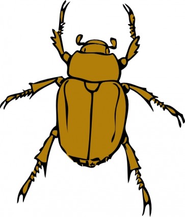 Beetle Bug Clip Art Free Vector In Open Office Drawing Svg    Svg