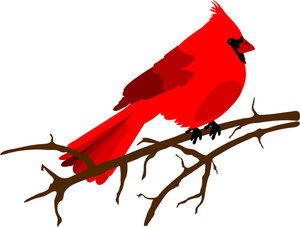 Cardinal Clipart Image   Beautiful Red Cardinal Sitting On A Bare Tree