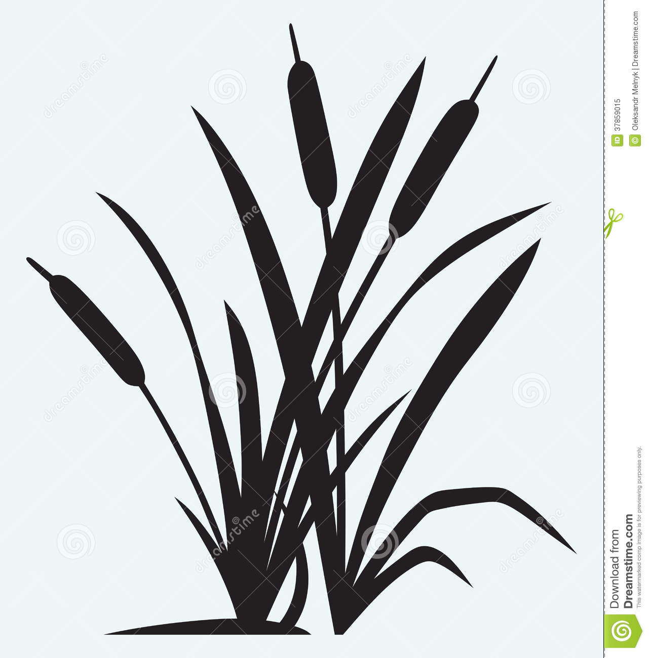 Cattails Vector Cattail Silhouette Stock